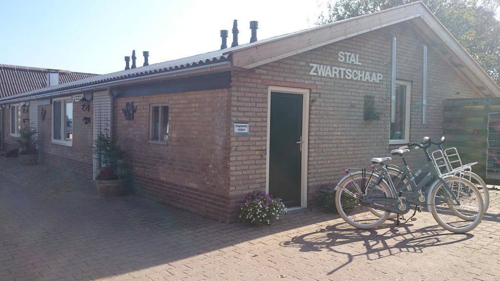 Stal Zwartschaap Apartment Stuifzand Exterior photo
